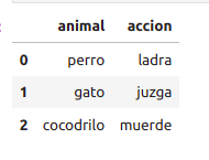 Example DataFrame data table about animals and their actions
